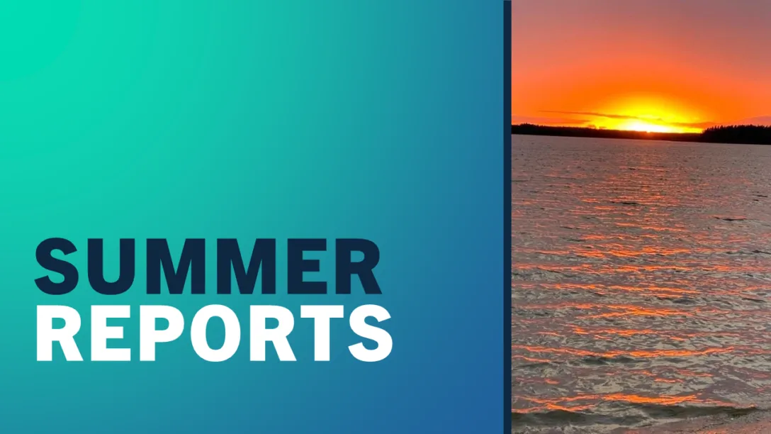 Summer Reports